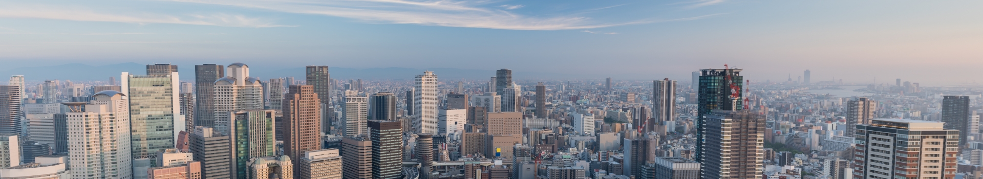 イメージ:企業情報